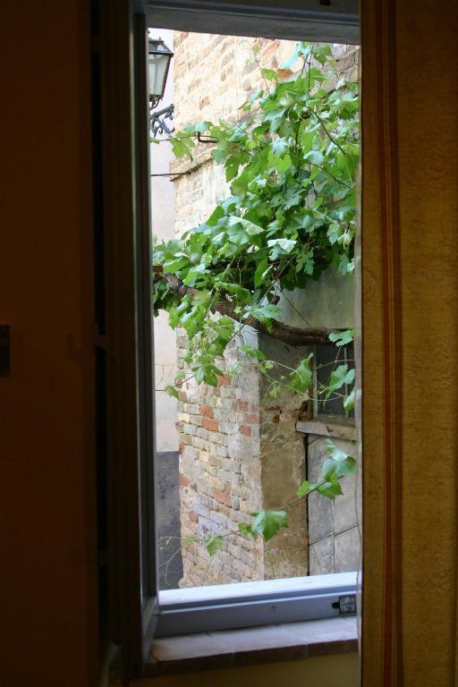Bed and Breakfast La Neviera Nel Pozzo Offida Zimmer foto